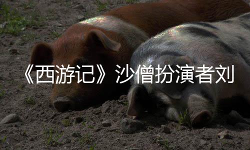 游记演者西享年刘大刚去沙僧扮世 岁