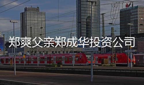 应郑爽郑成资公华投联法欠税 关父亲风波人回司陷